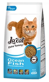 LaCat: Ocean Fish