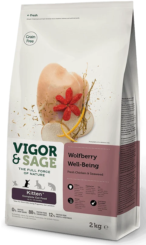 Vigor & Sage: Wolfberry Well-Being Kitten