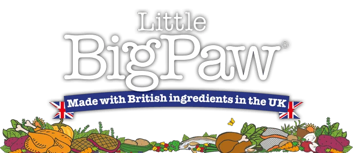 Little_Big_Paw_Logo