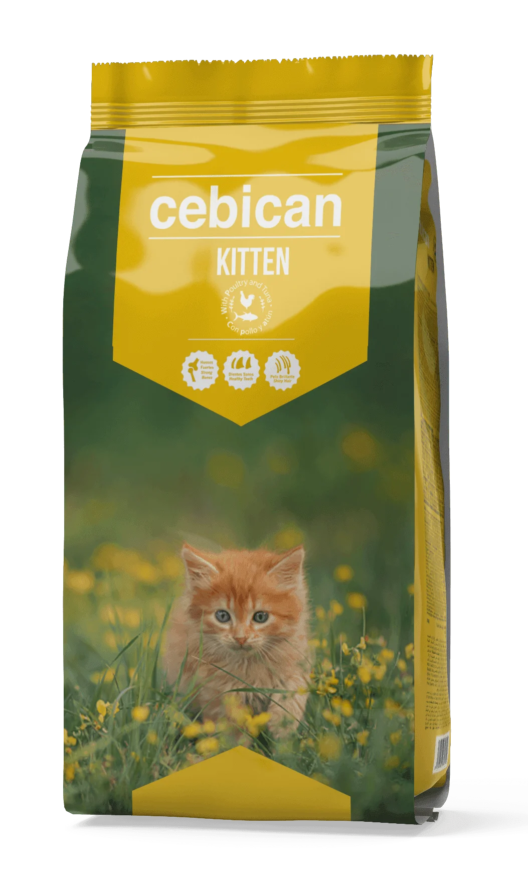 Cebican: 30/12 Cebican Kitten