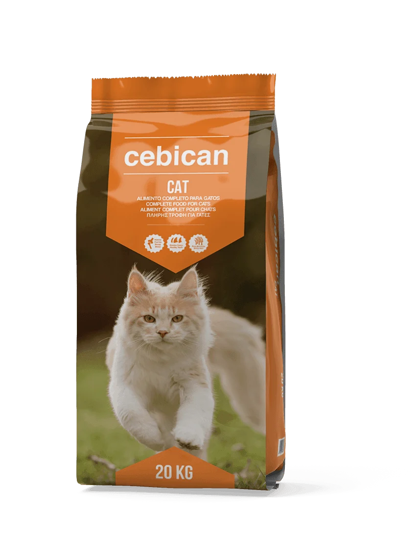Cebican Cat: 28/10 Cebican Cat Mix