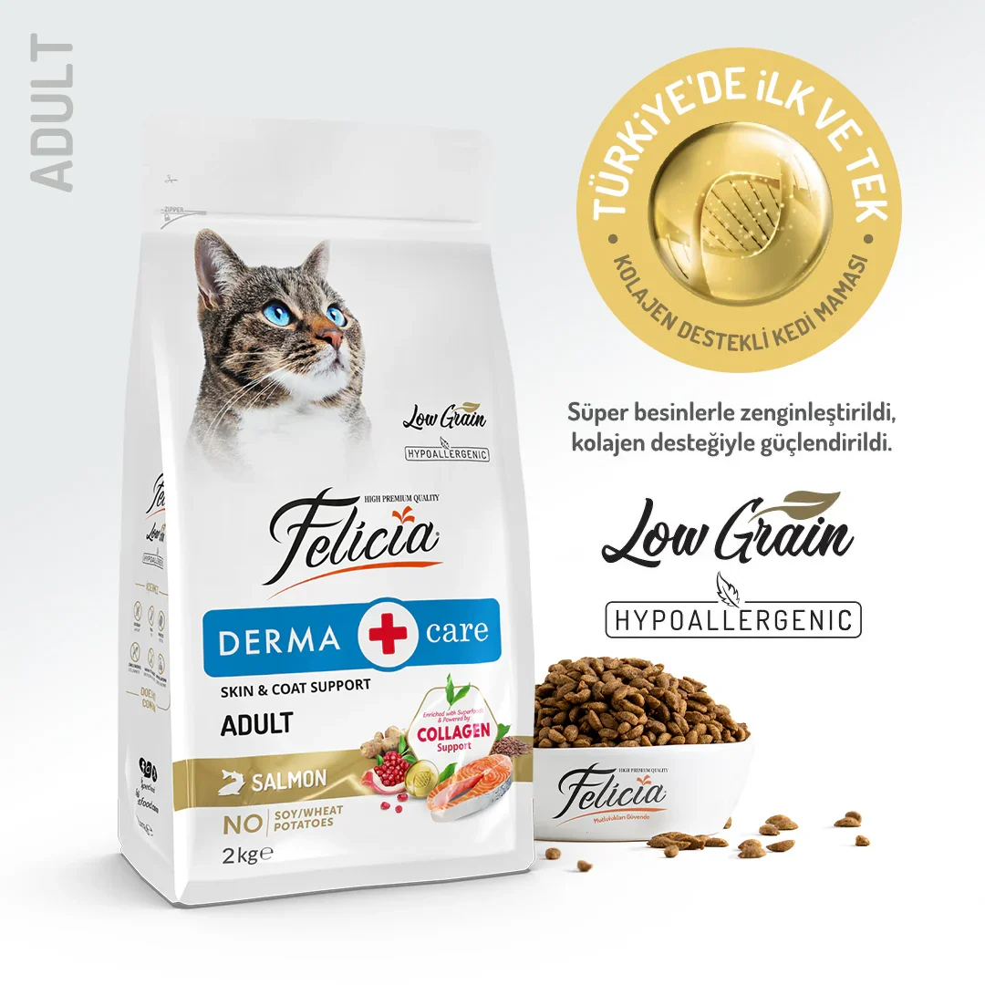 Felicia: Derma Care Collagen Supported Hypoallergenic Salmon Adult Cat Food