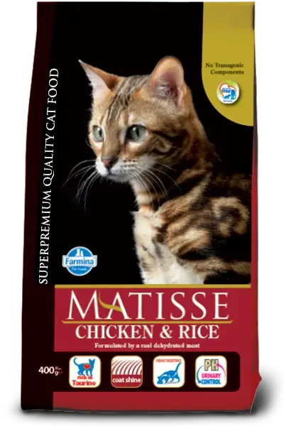 Matisse: Chicken & Rice