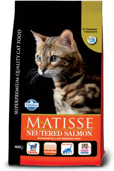 Matisse: Neutered Salmon