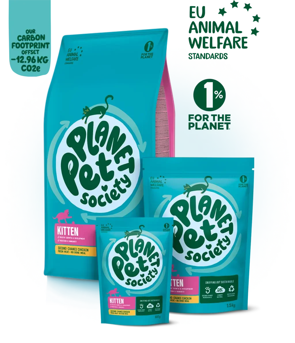 Planet Pet Society: Kitten Second Chance Chicken