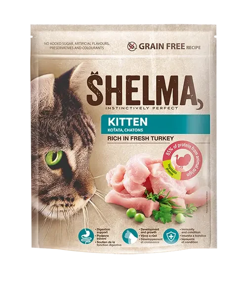 Shelma: Kitten rich in Fresh Turkey