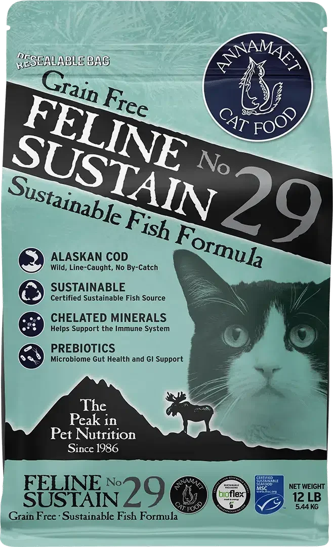 Annamaet: Feline Sustain No. 29