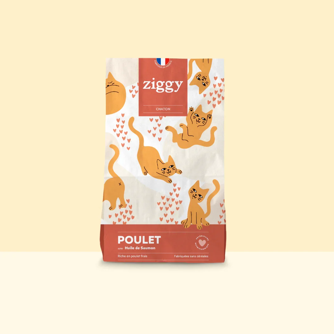 Ziggy: Croquettes Chaton Sans Céréales Poulet & Huile de Saumon (Grain-Free, Kitten, Chicken & Salmon Oil)