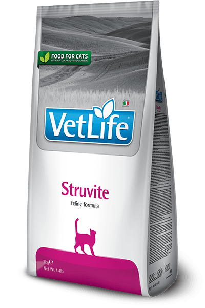 Vet Life: Struvite Feline